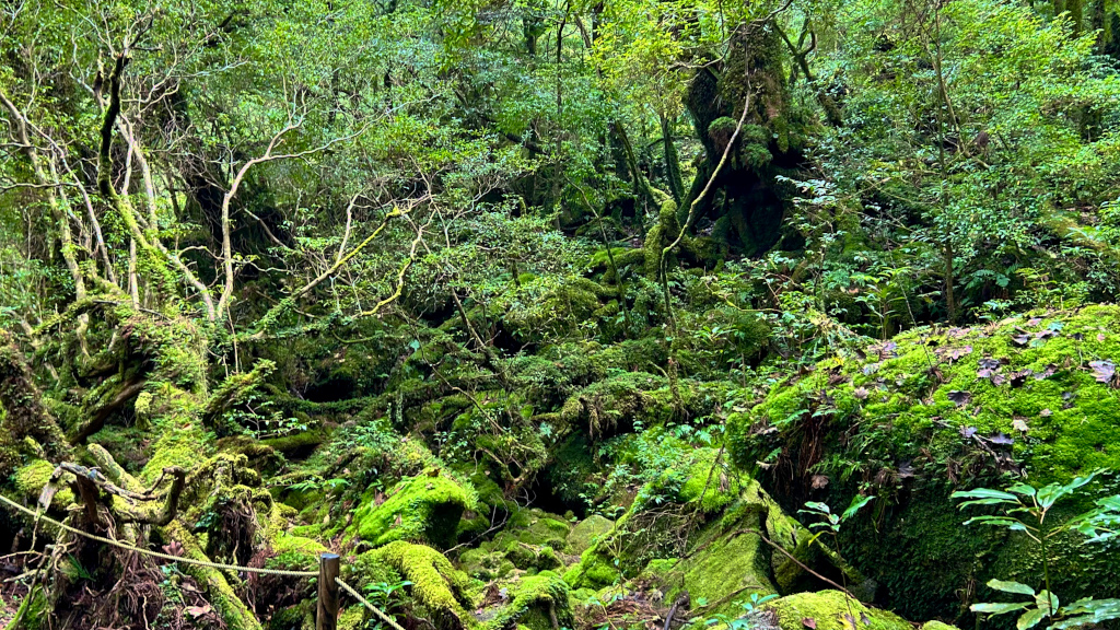 友人との九州旅第三弾で撮った写真