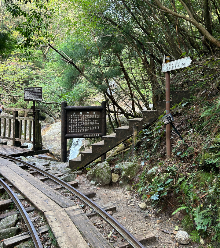 友人との九州旅第三弾で撮った写真