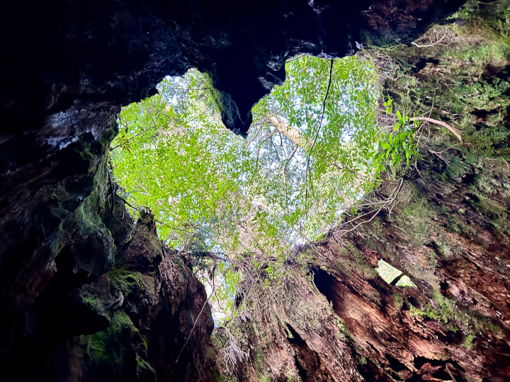 友人との九州旅第三弾で撮った写真