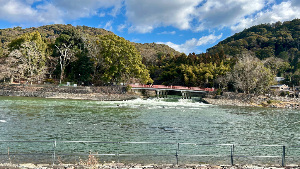 友人との京都・鹿児島を巡る旅で撮った写真