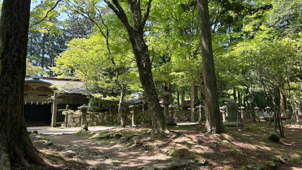 2025/6 の友人との旅の写真 #2