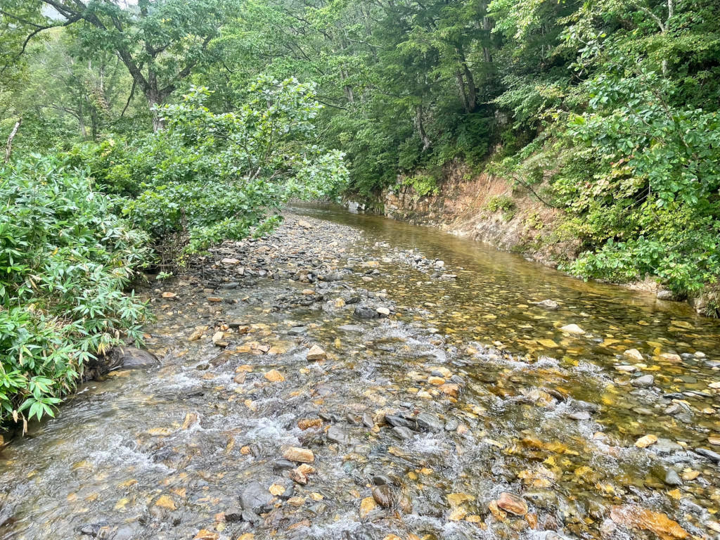 友人とのハイキング中に撮影した川の写真